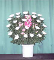 生花