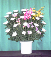 生花