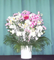 洋花