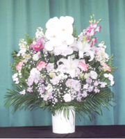 洋花