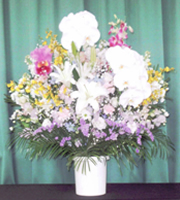 洋花