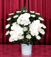 生花